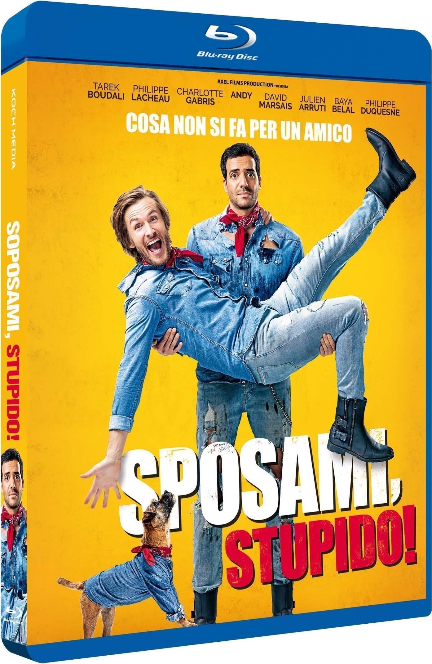 Sposami, Stupido!