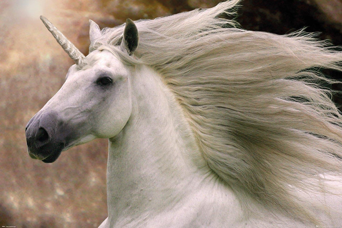 Bob Langrish: Gb Eye - Unicorn (Poster Maxi 61x91,5 Cm)