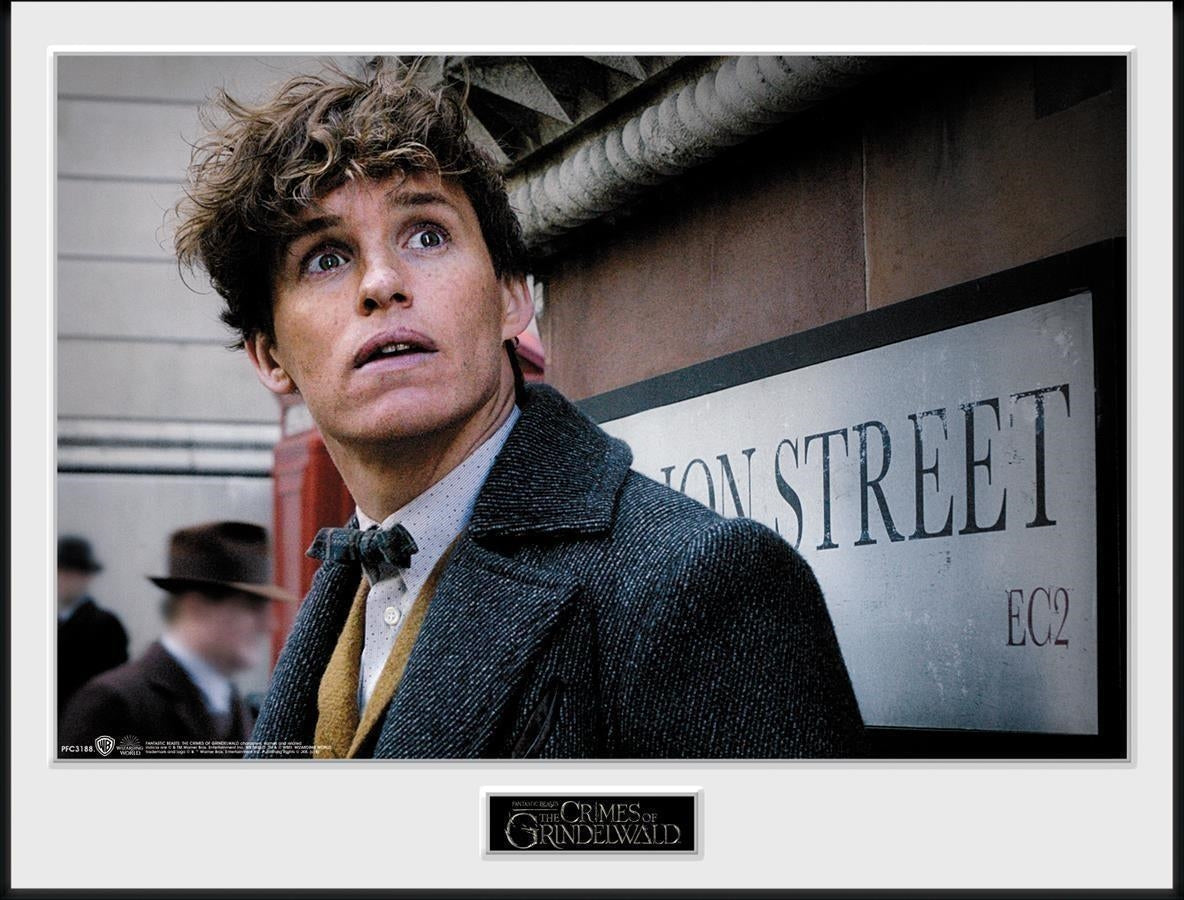 Fantastic Beasts 2: Newt Scamander (Stampa In Cornice 30x40cm)