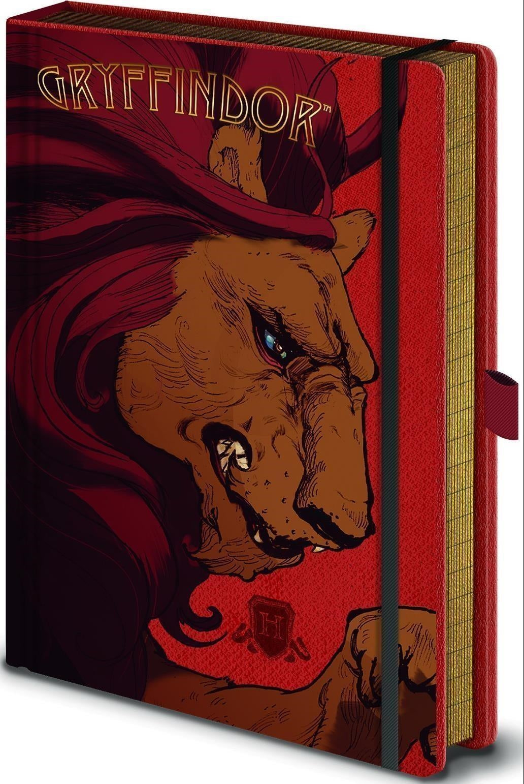 Harry Potter: Pyramid - Intricate Houses Gryffindor A5 Premium Notebook (Quaderno)