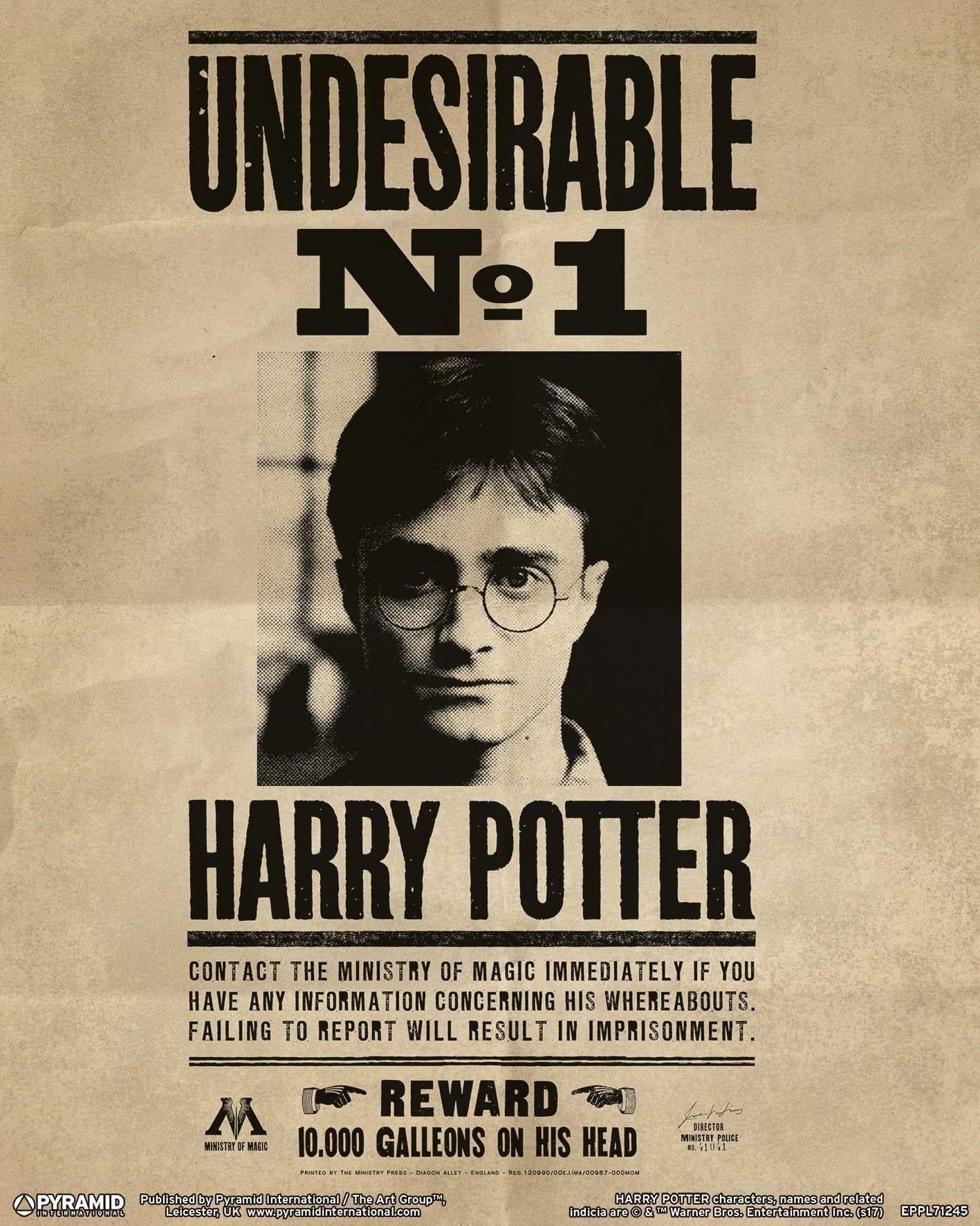 Harry Potter: Pyramid - Potter / Sirius - 25X20 Cm (3D Lenticular Print / Stampa)