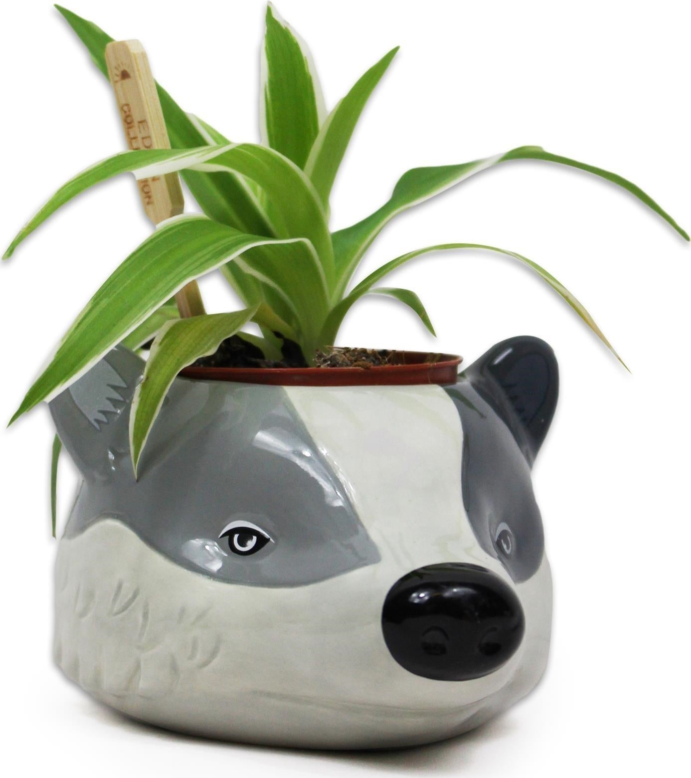 Harry Potter: Half Moon Bay - Hufflepuff (Plant Pot / Vaso Da Fiori)