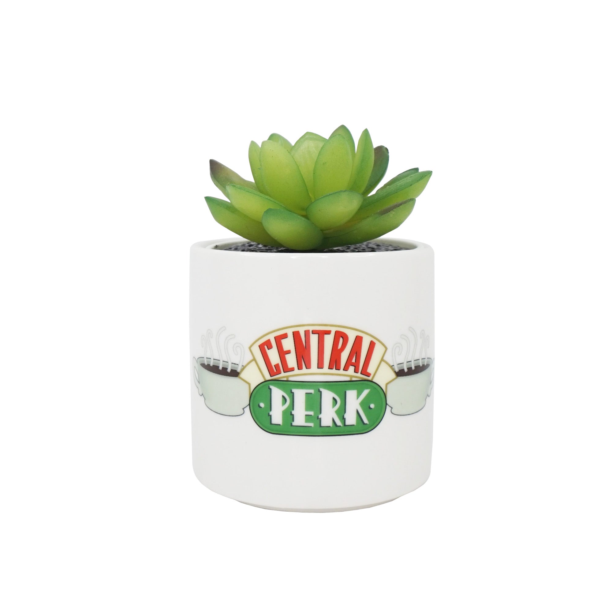 Friends: Half Moon Bay - Central Perk (Plant Pot Faux Boxed 6.5 Cm / Pianta Finta Con Vaso)
