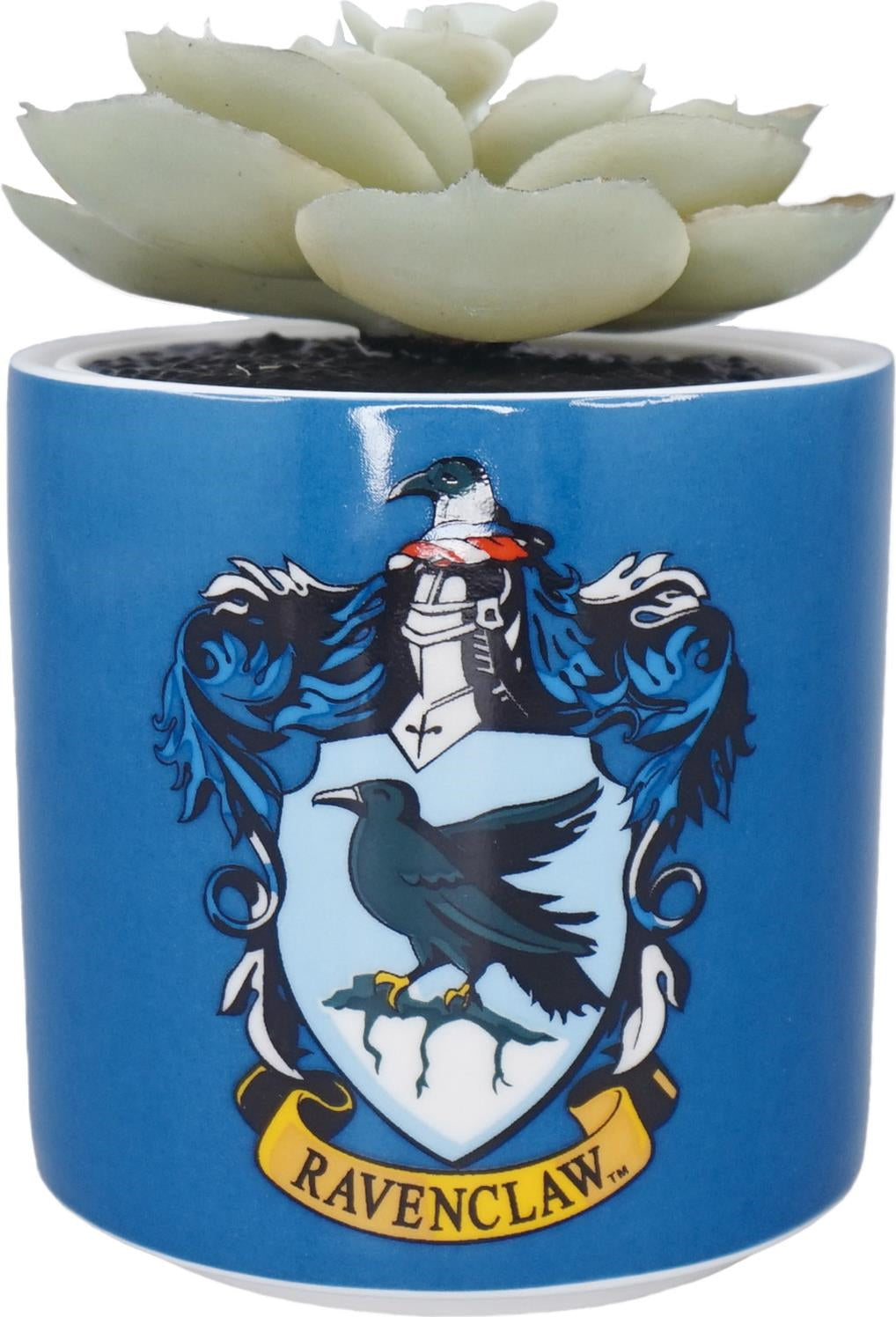 Harry Potter: Half Moon Bay - Ravenclaw(Plant Pot Faux Boxed 6.5 Cm / Pianta Finta Con Vaso)