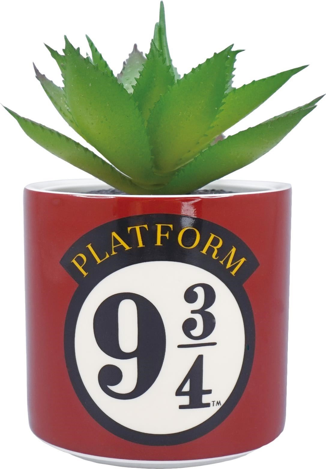 Harry Potter: Half Moon Bay - Platform 9 3/4 (Plant Pot Faux Boxed 6.5 Cm / Pianta Finta Con Vaso)