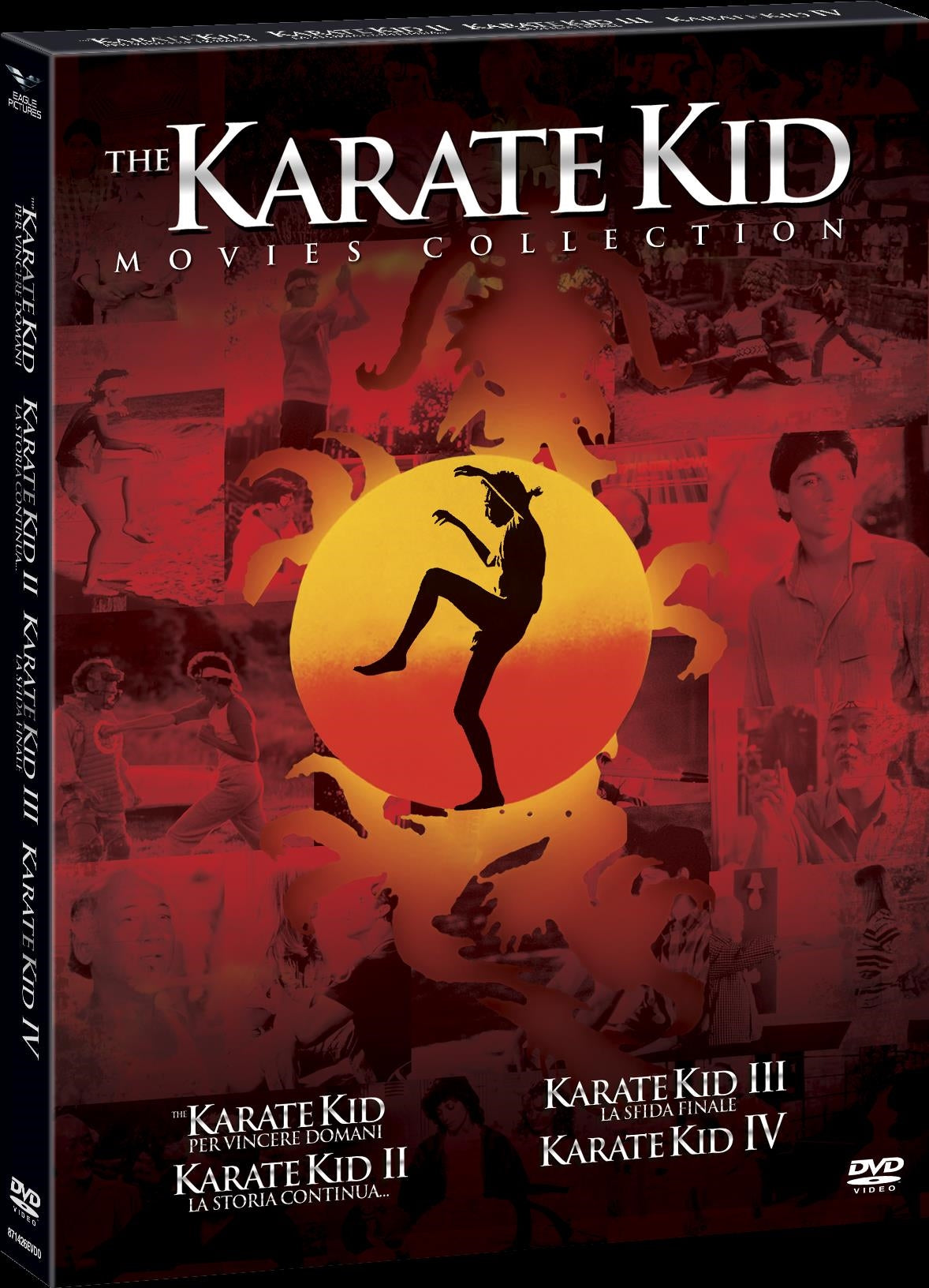 Karate Kid Collection (4 Dvd)