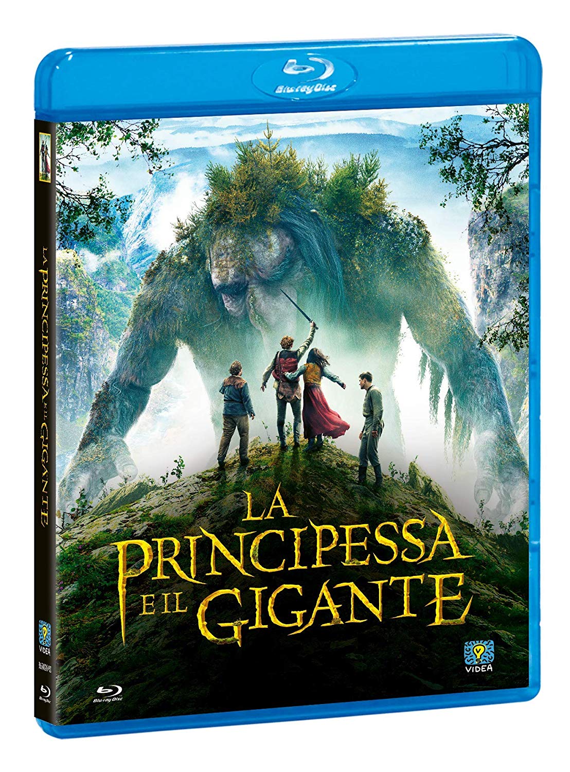 Principessa E Il Gigante (La)
