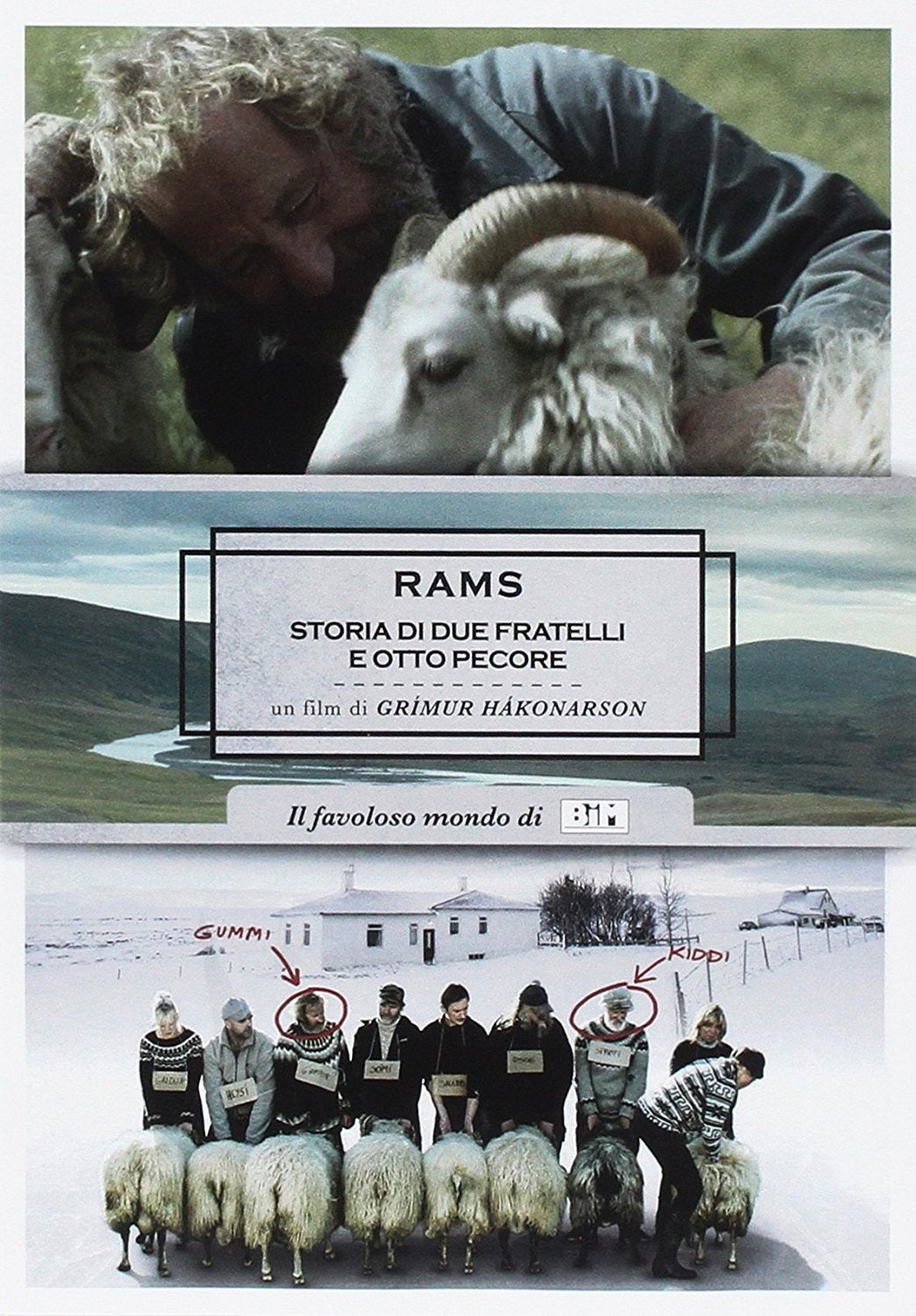 Rams (New Edition)