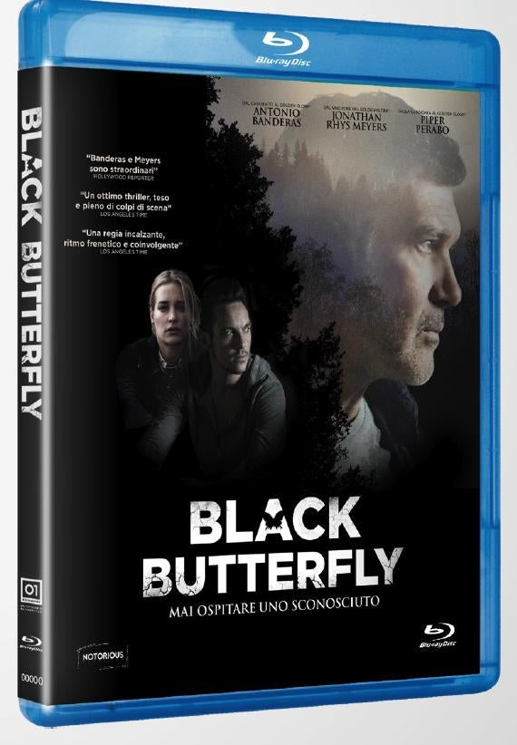 Black Butterfly