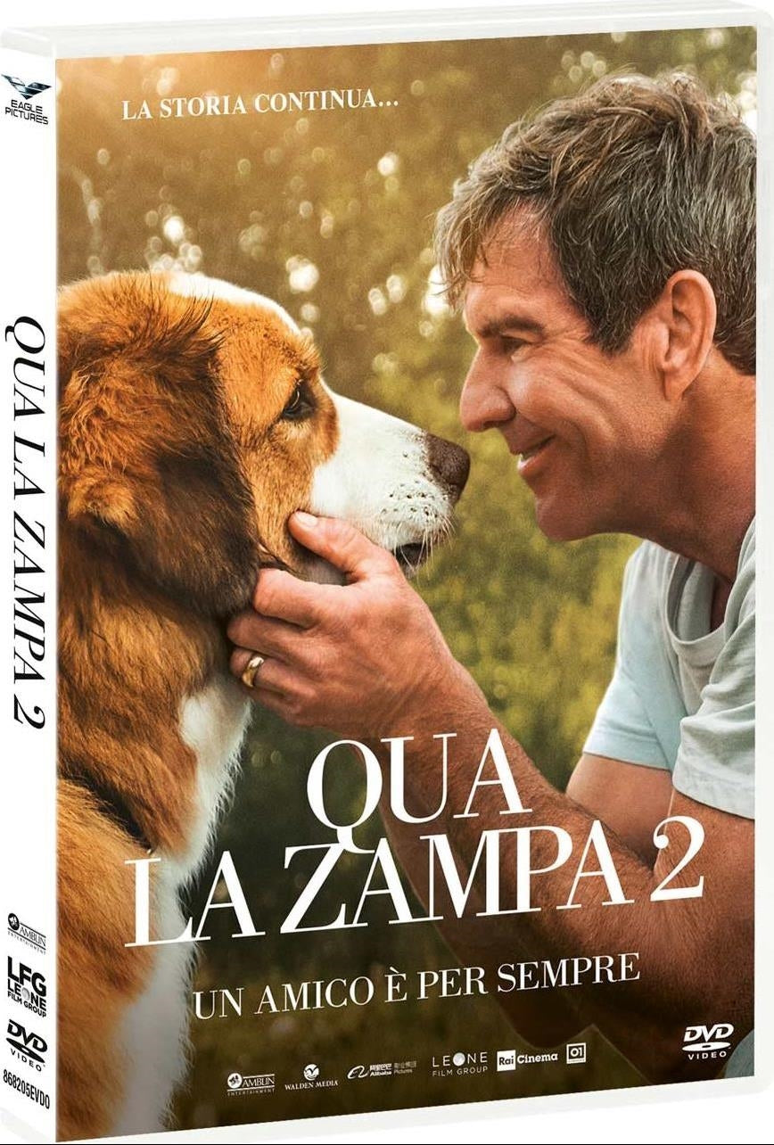 Qua La Zampa 2 - Un Amico E' Per Sempre