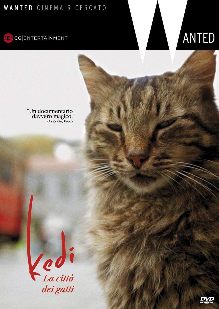 Kedi - La Citta' Dei Gatti