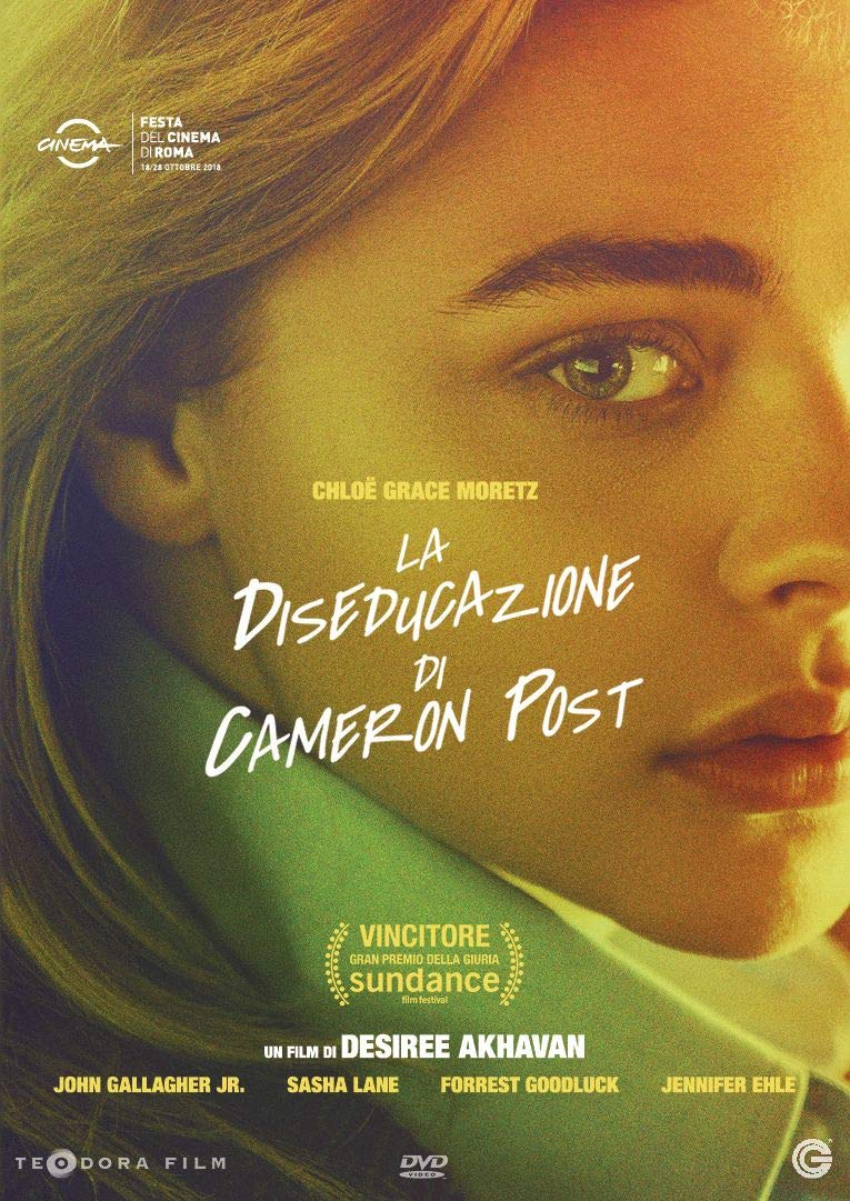 Diseducazione Di Cameron Post (La)