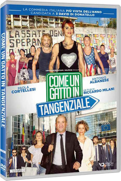 Come Un Gatto In Tangenziale