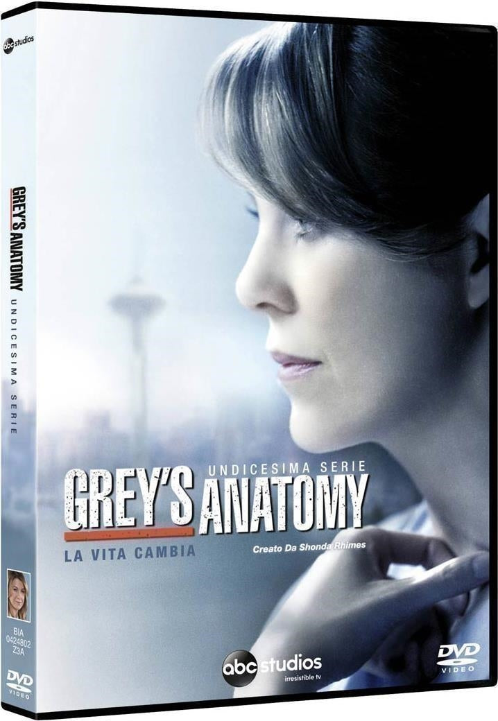 Grey's Anatomy - Stagione 11 (6 Dvd)