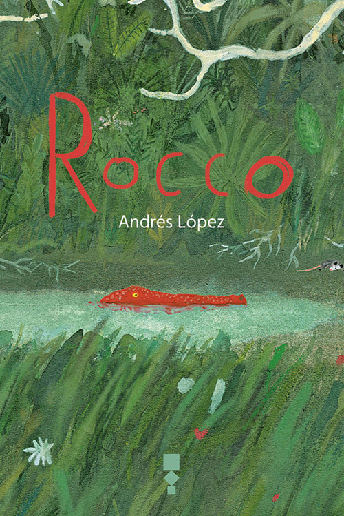 Cover of Rocco