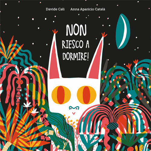 Cover of Non riesco a dormire