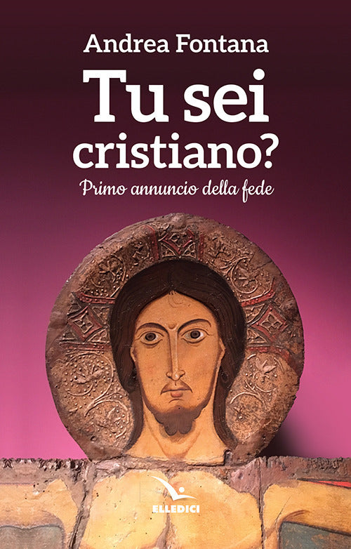 Cover of Tu sei cristiano? Primo annuncio della fede