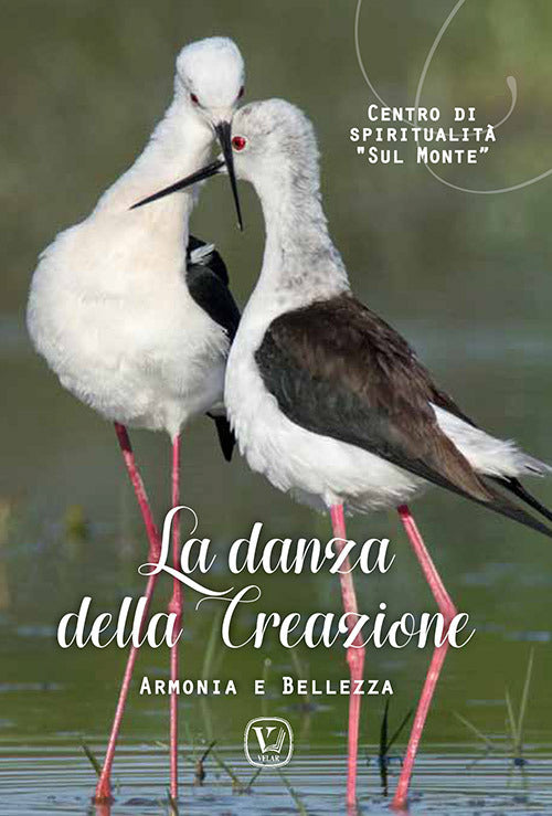 Cover of danza della creazione. Armonia e bellezza