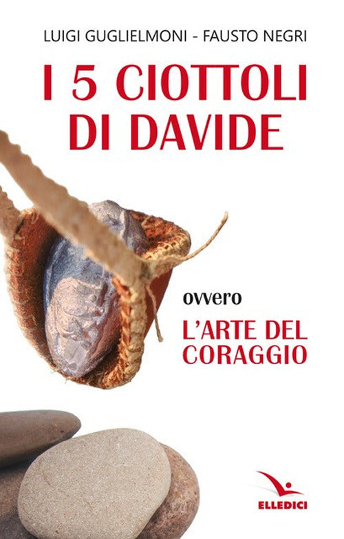 Cover of 5 ciottoli di Davide. Ovvero l'arte del coraggio