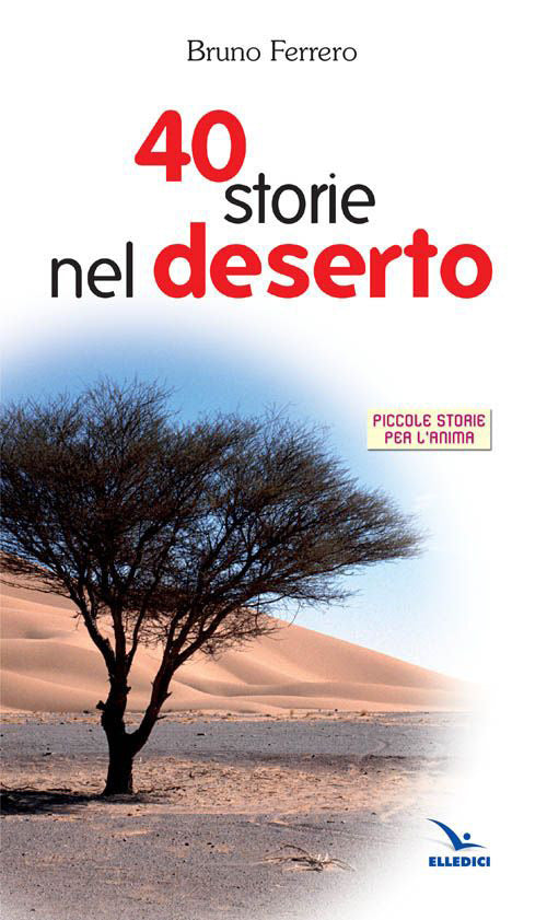Cover of Quaranta storie nel deserto