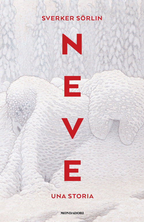 Neve. Una storia