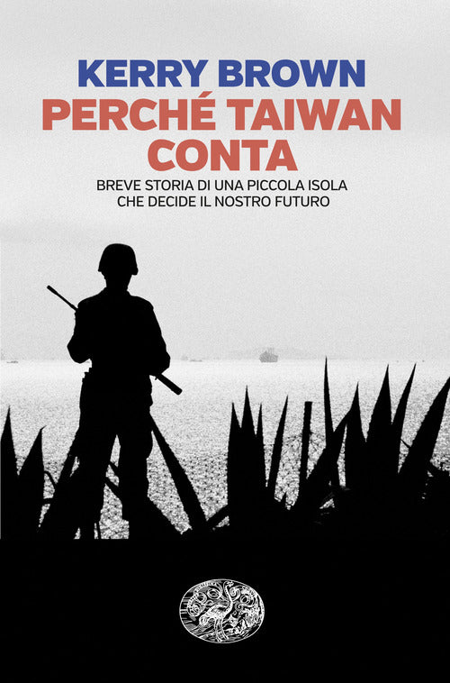 Perch Taiwan conta. Breve storia di una piccola isola che decide il nostro futuro