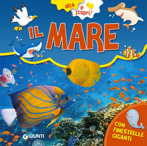 Il mare