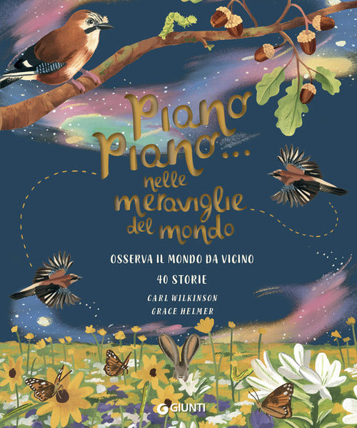 Piano piano... Nelle meraviglie mondo. Osserva il mondo da vicino