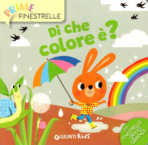 Di che colore ?