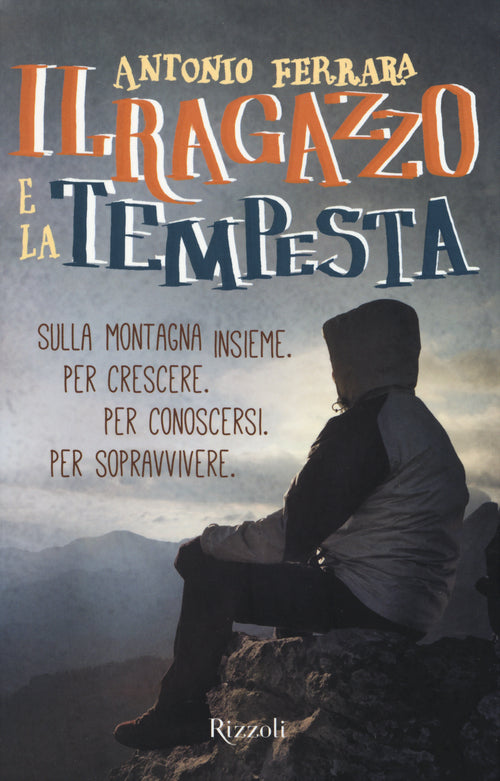 Cover of ragazzo e la tempesta