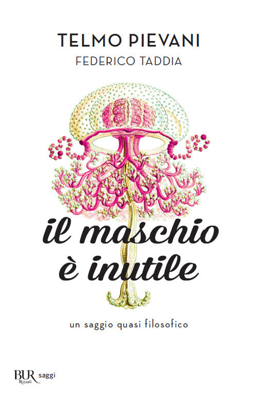 Cover of maschio è inutile. Un saggio quasi filosofico