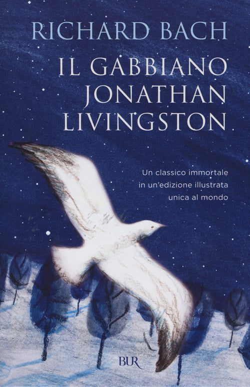 Cover of gabbiano Jonathan Livingston