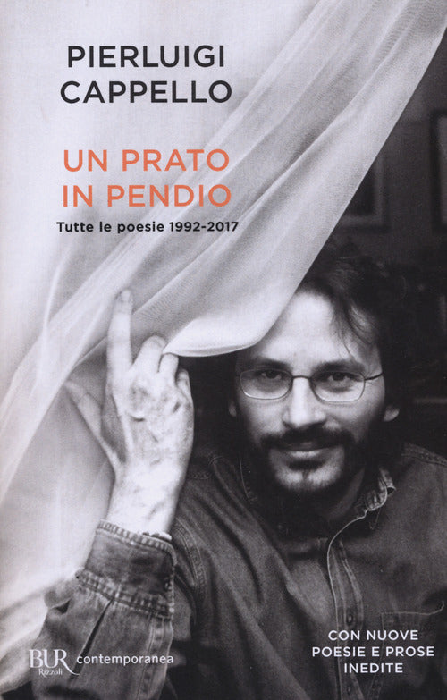 Cover of prato in pendio. Tutte le poesie 1992-2017