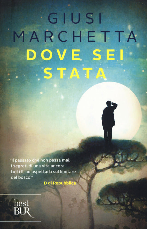Cover of Dove sei stata