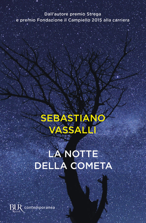 Cover of notte della cometa
