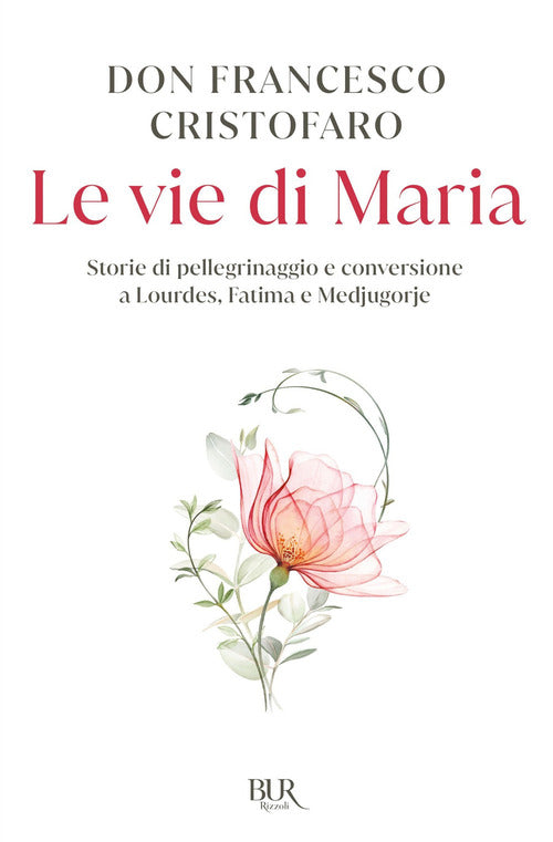 Cover of vie di Maria. Storie di pellegrinaggio e conversione a Lourdes, Fatima e Medjugorje
