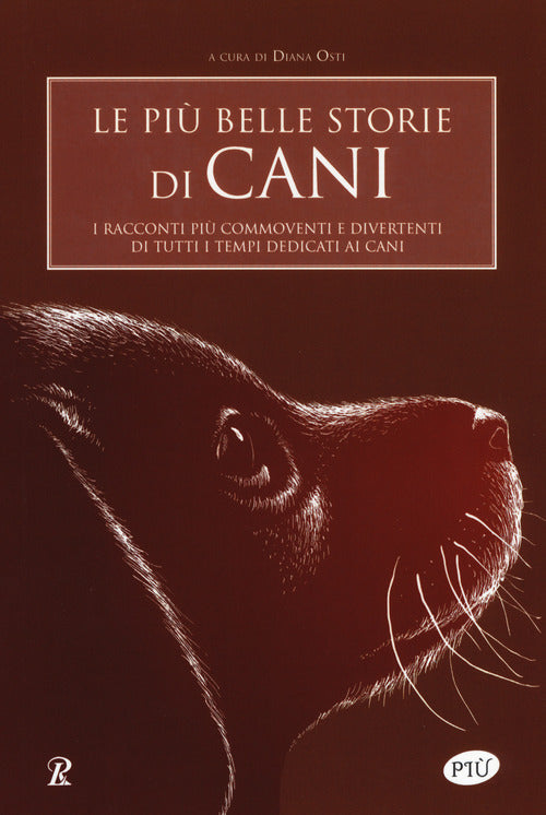 Cover of più belle storie di cani. I racconti più commoventi e divertenti di tutti i tempi dedicati ai cani