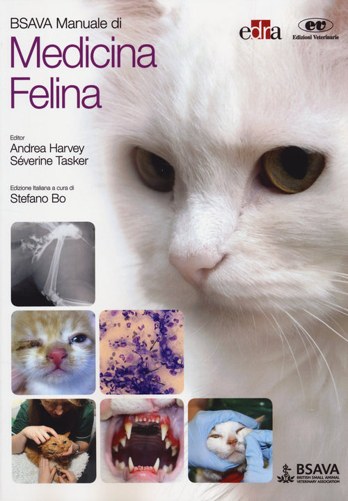 Cover of BSAVA. Manuale di medicina felina