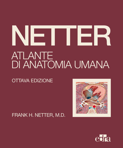 Cover of Netter. Atlante di anatomia umana