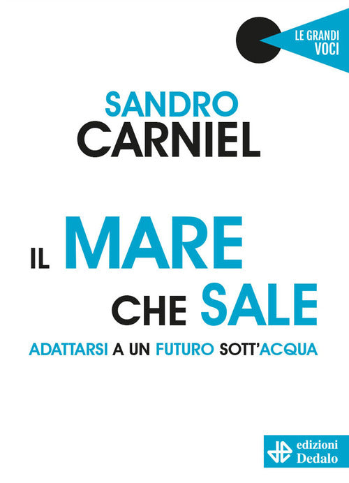 Cover of mare che sale. Adattarsi a un futuro sott'acqua