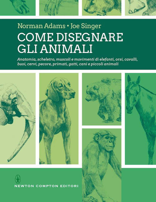 Cover of Come disegnare gli animali