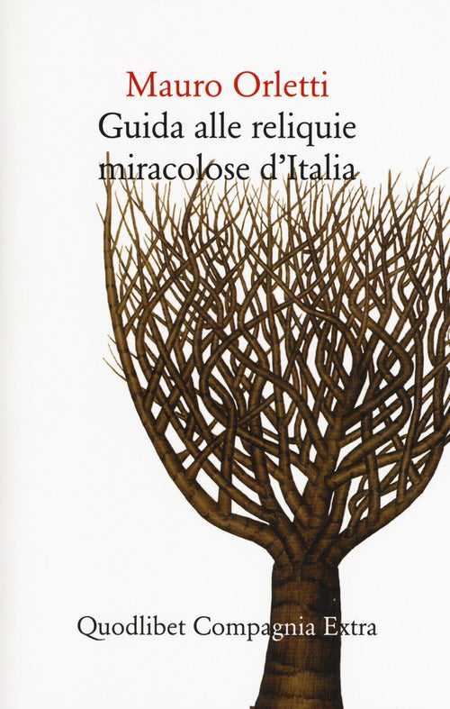 Cover of Guida alle reliquie miracolose d'Italia