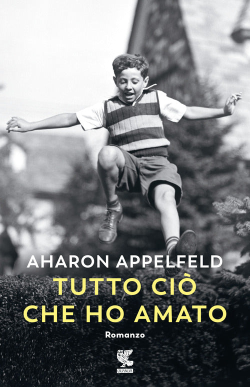 Cover of Tutto ciò che ho amato
