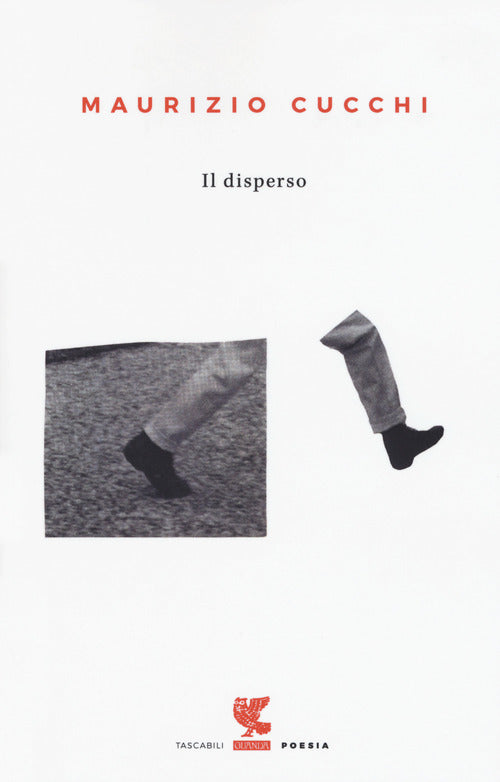 Cover of disperso