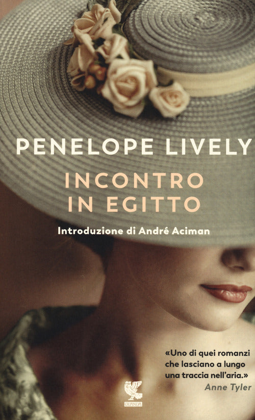 Cover of Incontro in Egitto
