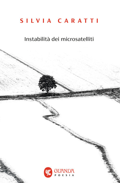 Instabilit dei microsatelliti