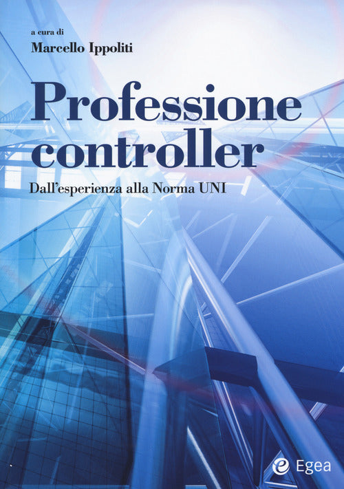 Cover of Professione controller. Dall’esperienza alla Norma UNI