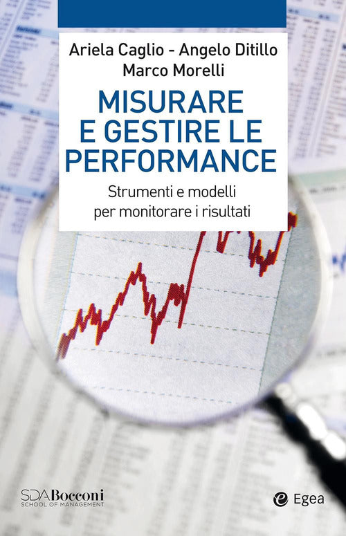 Cover of Misurare e gestire le performance. Strumenti e modelli per monitorare i risultati