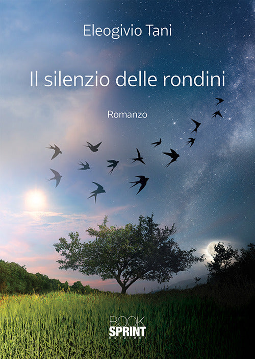 Cover of silenzio delle rondini