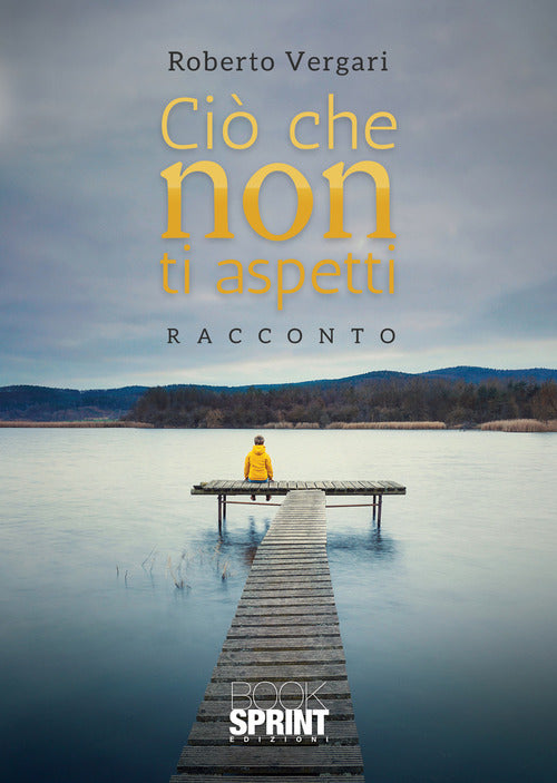 Cover of Ciò che non ti aspetti